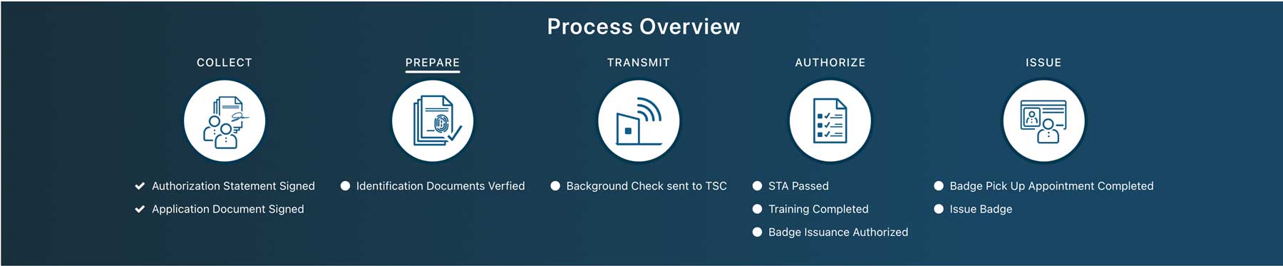 process overview
